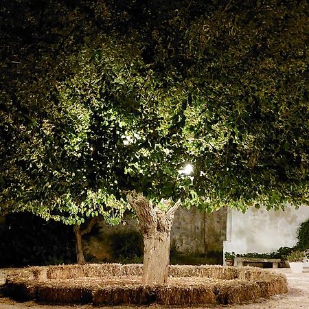 Masseria San Martino โปลีญาโนอามาเร ภายนอก รูปภาพ